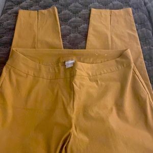 Chico’s adorable pants!